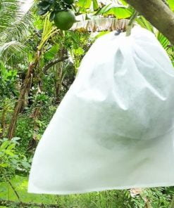 Túi Bọc Trái Cây Túi Bọc Trái Cây