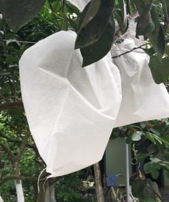 Túi Vải Bao Bọc Trái Cây Bưởi, Xoài, Mận, Ổi, Mít, Cam Túi Vải Bao Bọc Trái Cây Bưởi, Xoài, Mận, Ổi, Mít, Cam