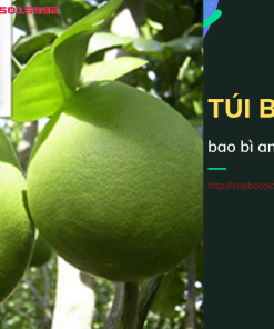 Túi Bao bưởi Da Xanh 30 x 35 cm Túi Bao bưởi Da Xanh 30 x 35 cm