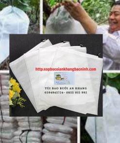 Xốp lưới bọc dứa Xốp lưới bọc dứa