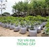 Túi vải trồng cây 25x20 không quai