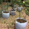 Túi vải trồng cây 70x50cm có quai