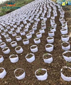 chậu vải trồng cây, túi vải trồng cây, túi vải ươm hạt giống