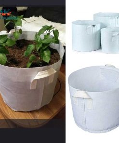 Túi vải trồng cây An Khang Bắc Ninh