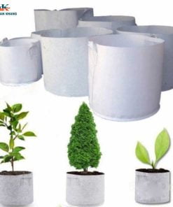 Túi vải trồng cây An Khang Bắc Ninh
