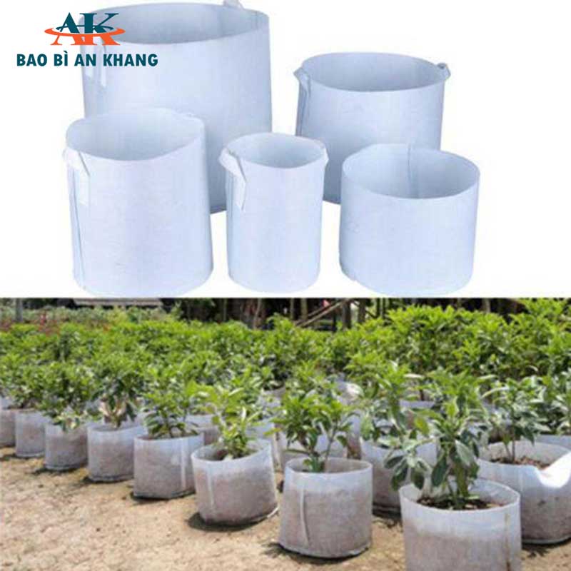 Túi vải trồng cây An Khang Bắc Ninh