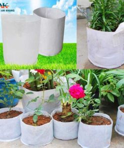 Túi vải trồng cây An Khang Bắc NInh