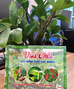 Vua Chồi - Bật Mầm Chồi Cực Mạnh Vua Chồi - Bật Mầm Chồi Cực Mạnh
