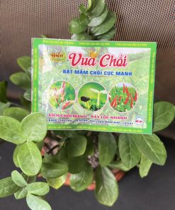 Vua Chồi - Bật Mầm Chồi Cực Mạnh Vua Chồi - Bật Mầm Chồi Cực Mạnh