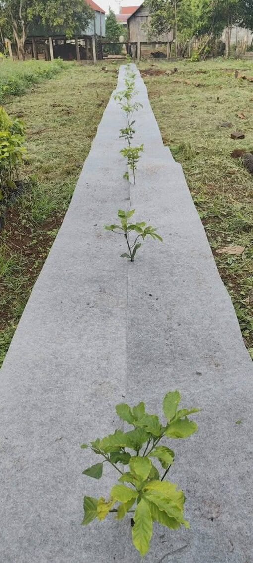 Bạt phủ cỏ tấm kích thước 1.0x1.1m